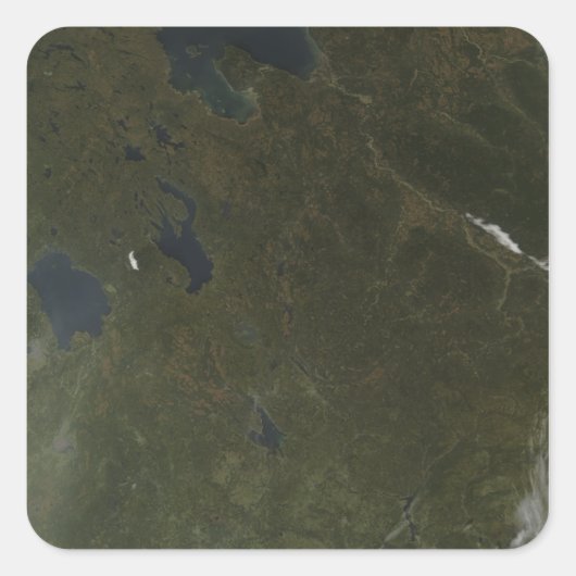 ロシア北西部紅葉 スクエアシール (正面)