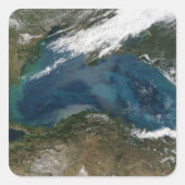 ロシア東部の黒海 スクエアシール (正面)