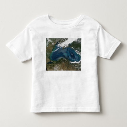 ロシア東部の黒海 トドラーTシャツ (正面)