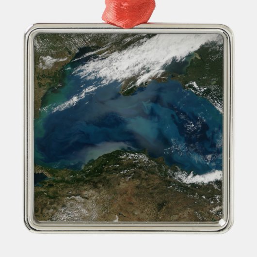 ロシア東部の黒海 メタルオーナメント (正面)