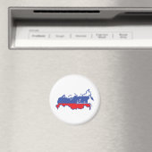 ロシア磁石 マグネット (インサイチュ (食洗機))