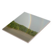 ロシア、ゴリツィとゴリツィの典型的な川の眺め タイル (側面)