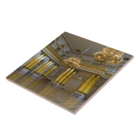 ロシア、サンクトペテルブルク、エルミタージュ(アカ4) タイル (側面)