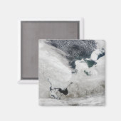 ロシア，白海 マグネット (正面/裏面)