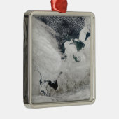 ロシア,白海 メタルオーナメント (右)