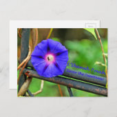 ロシュ・ハシャナー・カード・ギフト シーズンポストカード (正面/裏面)