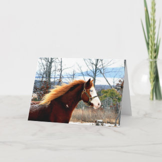 ロジャース山のBuckie カード