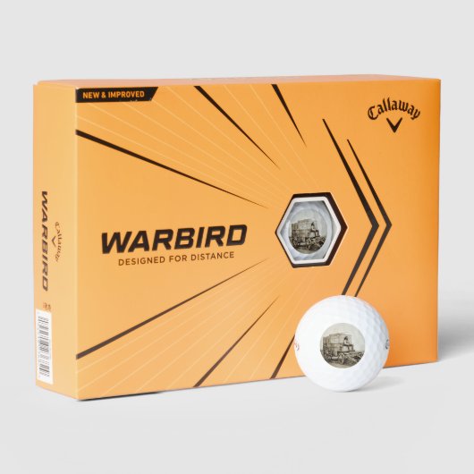 ロジャー・フェントンの写真ワゴン写真現実主義 ゴルフボール (パッケージ)