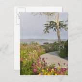 ロスオーソスとベイウッドパークが参加 ポストカード (正面/裏面)