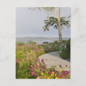 ロスオーソスとベイウッドパークが参加 ポストカード (正面)