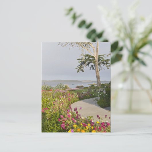 ロスオーソスとベイウッドパークが参加 ポストカード (スタンド正面)