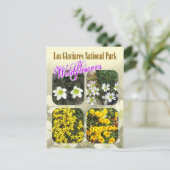 ロスカシアレス国立公園ワイルドフラワーズ ポストカード (スタンド正面)
