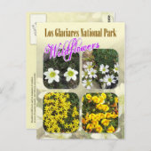 ロスカシアレス国立公園ワイルドフラワーズ ポストカード (正面/裏面)
