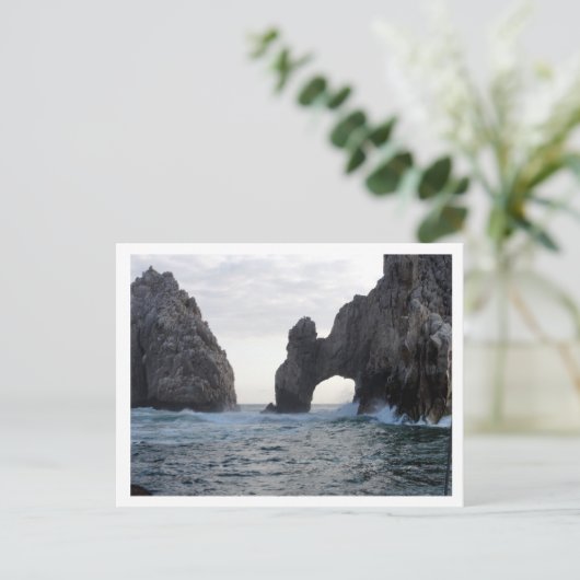 ロスカボス ポストカード (スタンド正面)