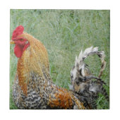 ロスター タイル (正面)