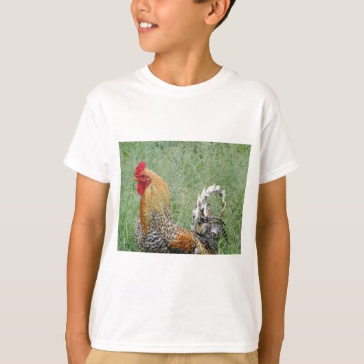 ロスター Tシャツ (正面)