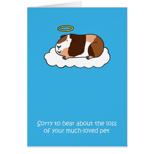 ロストオブペットギニアピグ悔やみや弔慰 (正面)