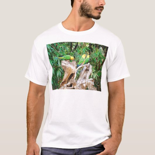 ロストレスアミゴス Tシャツ (正面)