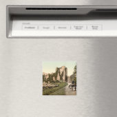 ロス城II、キラーニー郡ケリー マグネット (インサイチュ (食洗機))