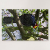 ロス夫人のトゥラコ ジグソーパズル (横)