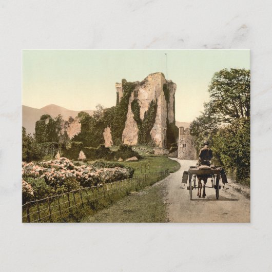 ロス・キャッスルII、キラーニー、カウンティ・ケリー ポストカード (正面)