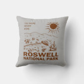 ロズウェル国立公園UFO飛んでいるソーサーエイリアンT-S クッション (裏面)