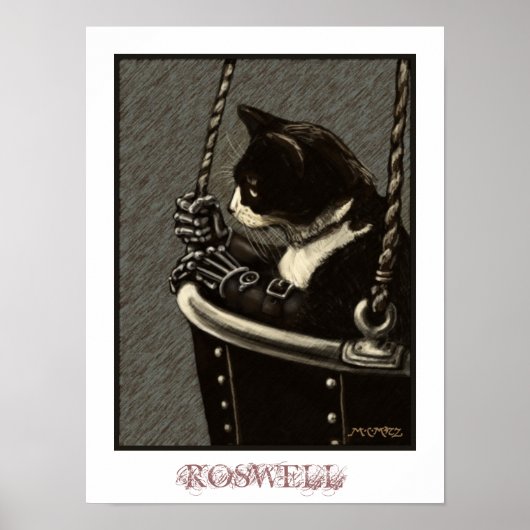 ロズウェル・ポスター ポスター (正面)
