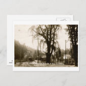 ロズリンのビュー，ロングアイランド， NY 1915ヴィンテージ ポストカード (正面/裏面)