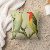 ロセラパラケート クッション (ブランケット)