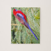 ロセラパロツオーストラリア ジグソーパズル (縦)