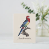 ロセラ東部 ポストカード (スタンド正面)