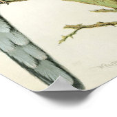 ロセルラパラケート ポスター (角)