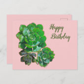 ロゼット多肉株ポストカード ポストカード (正面/裏面)