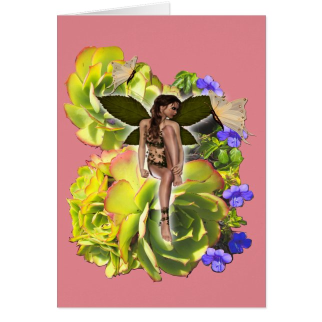 ロゼット多肉食の訪問者 (正面)