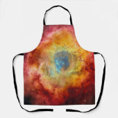 ロゼット星雲 エプロン (正面)