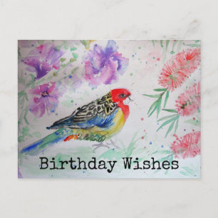 ロゼラインコのブラシノコギリク生日ハガキ ポストカード