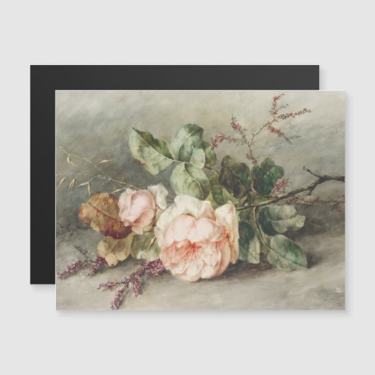 ロゼンバイマーガレタローゼンブーム (正面/裏面)