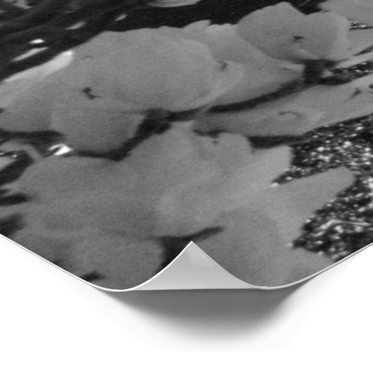 ロタンダと花 ポスター (角)