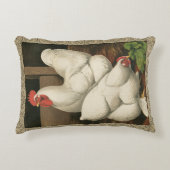 ロターズ&ヘンアウトアウトアウトサイドヘンハウス白縁どい アクセントクッション (正面)