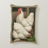 ロターズ&ヘンアウトアウトアウトサイドヘンハウス白縁どい アクセントクッション (裏面(縦))