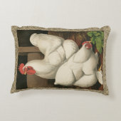 ロターズ&ヘンアウトアウトアウトサイドヘンハウス白縁どい アクセントクッション (裏面)