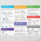 ロダンとフィールド3折パンフレット (裏面)