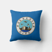 ロチェスター国旗(ミネソタ) クッション (裏面)