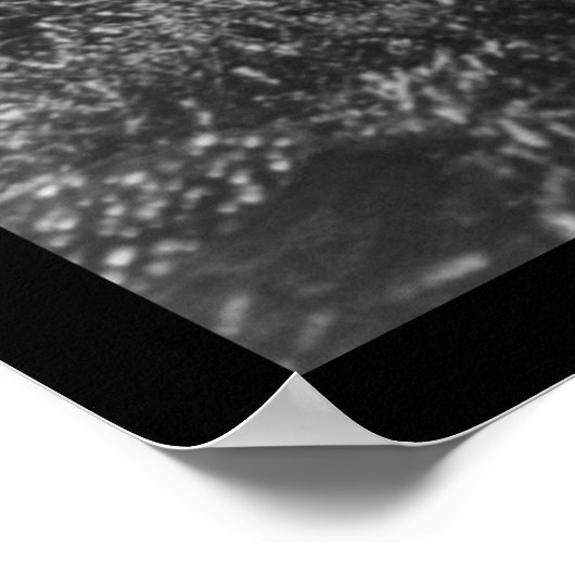 ロチェスター近くのクランベリーを摘む女の子, MA 1910 ポスター (角)