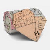 ロチェスターNY (1901年)のヴィンテージの地図 ネクタイ (ロール)