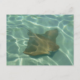 ロチェンイムミーアポスカルテグリュッカルテ ポストカード