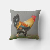 ロッカラフルスター絵を描のカントリーデコール クッション (裏面)