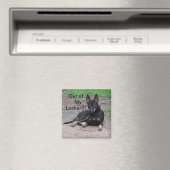 ロッカーのマグネットから マグネット (インサイチュ (食洗機))