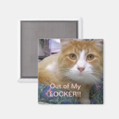 ロッカーのマグネットから マグネット (正面/裏面)