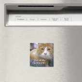 ロッカーのマグネットから マグネット (インサイチュ (食洗機))